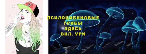 крисы Вязьма
