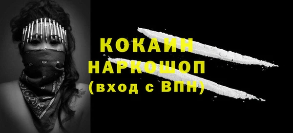 МДПВ Вяземский