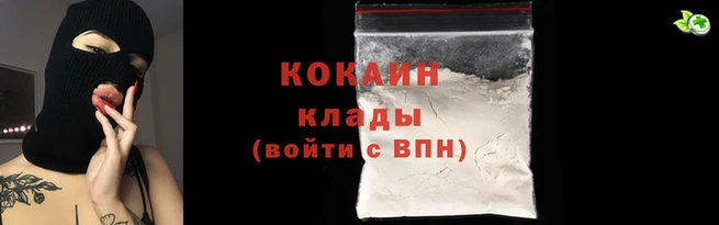 МДПВ Вяземский