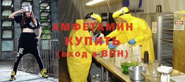 крисы Вязьма
