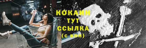 МДПВ Вяземский