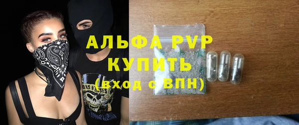 крисы Вязьма