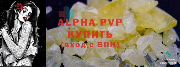 крисы Вязьма