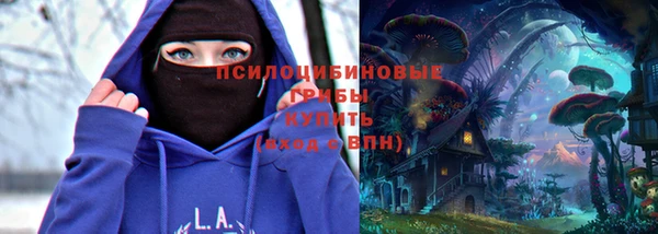 твердый Вязники